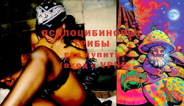прущая мука Армянск