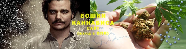 PSILOCYBIN Аркадак